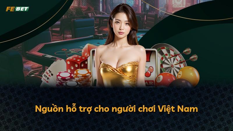 Nguồn hỗ trợ cho người chơi Việt Nam
