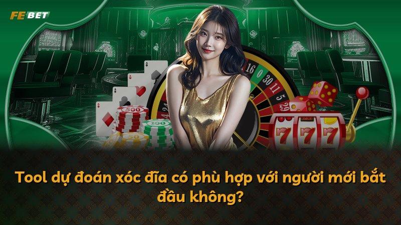 Tool dự đoán xóc đĩa có phù hợp với người mới bắt đầu không?