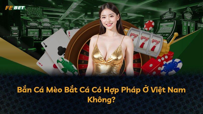 Bắn Cá Mèo Bắt Cá Có Hợp Pháp Ở Việt Nam Không?