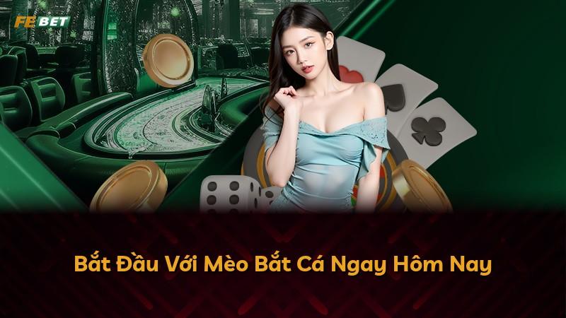 Bắt Đầu Với Mèo Bắt Cá Ngay Hôm Nay