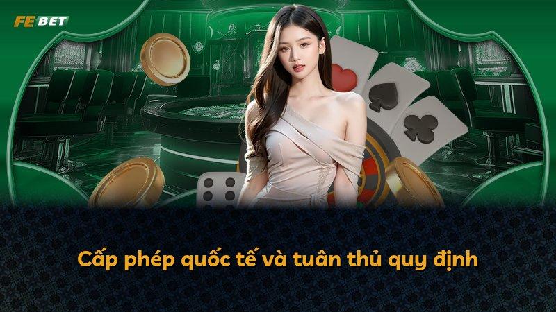 Cấp phép quốc tế và tuân thủ quy định