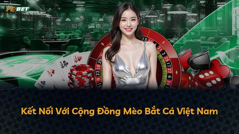Kết Nối Với Cộng Đồng Mèo Bắt Cá Việt Nam