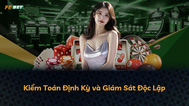 Kiểm Toán Định Kỳ và Giám Sát Độc Lập