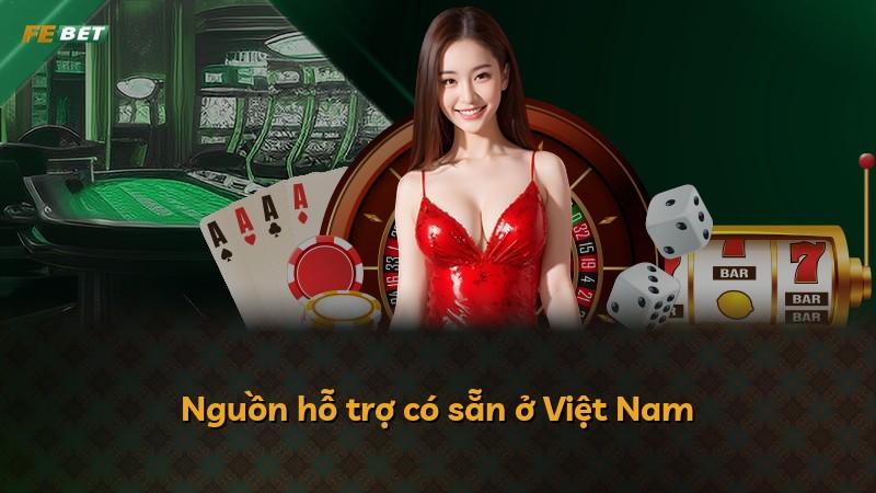 Nguồn hỗ trợ có sẵn ở Việt Nam