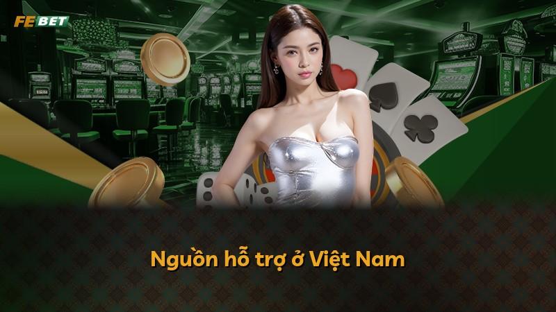 Nguồn hỗ trợ ở Việt Nam
