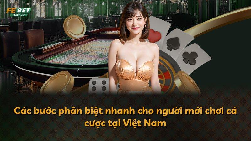 Các bước phân biệt nhanh cho người mới chơi cá cược tại Việt Nam