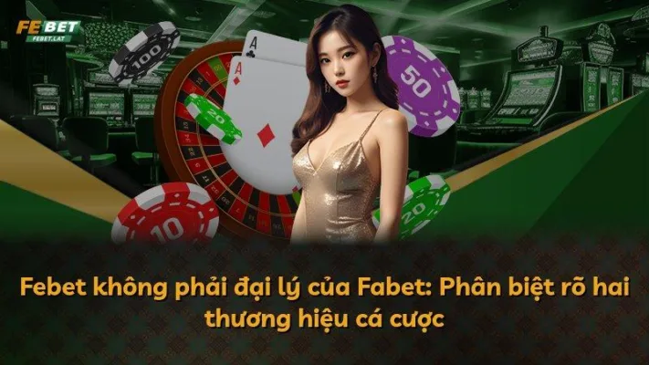 Febet không phải đại lý của Fabet: Phân biệt rõ hai thương hiệu cá cược