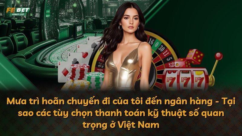 Mưa trì hoãn chuyến đi của tôi đến ngân hàng - Tại sao các tùy chọn thanh toán kỹ thuật số quan trọng ở Việt Nam