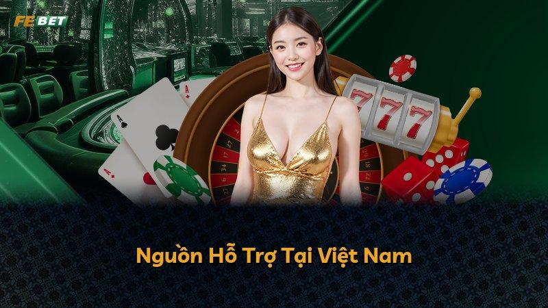 Nguồn Hỗ Trợ Tại Việt Nam
